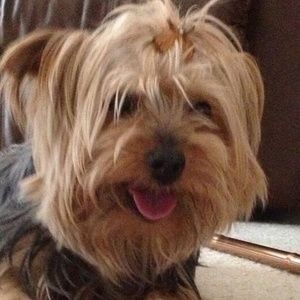 Meet your Posher, Wanda